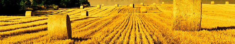 House Removals or Office Moves at Van Man Sheffield Man and Van Sheffield Footer Image